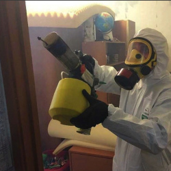 Уничтожение клопов в квартире. Барышево